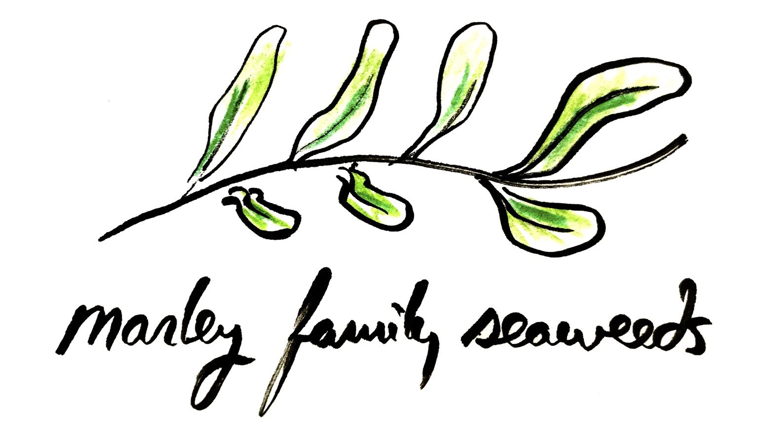 Marley Family Seaweeds